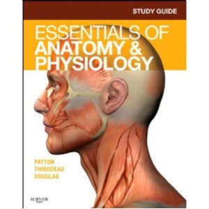 Study Guide For Essentials Of Anatomy & Physiology
